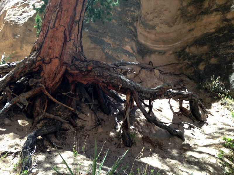 Tent Rocks 1